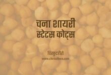 Chana Gram Shayari Status Quotes Hindi