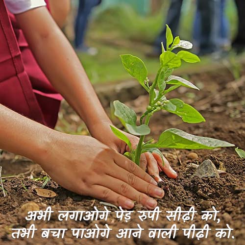 Plants Shayari