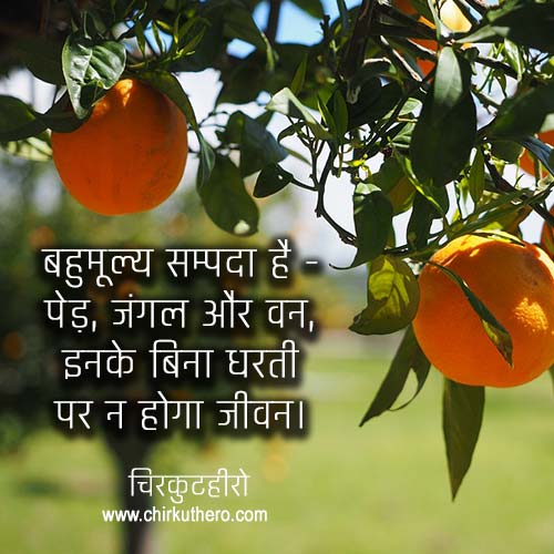 Save Tree Hindi Shayari