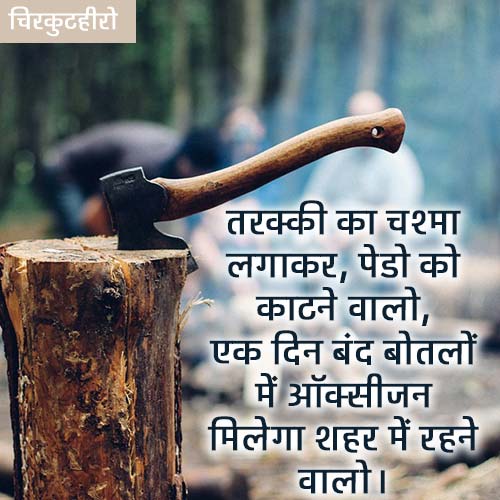 Shero Shayari on Tree