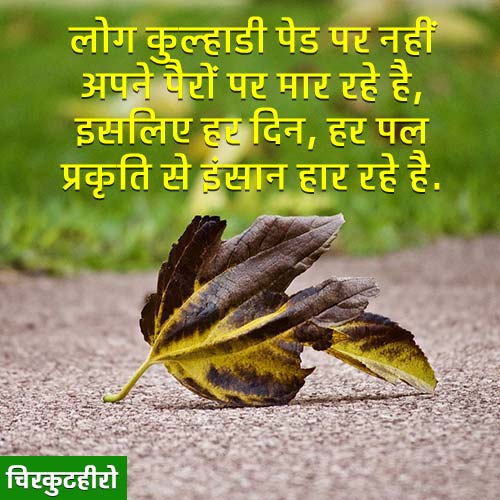 Tree Shayari for facebook