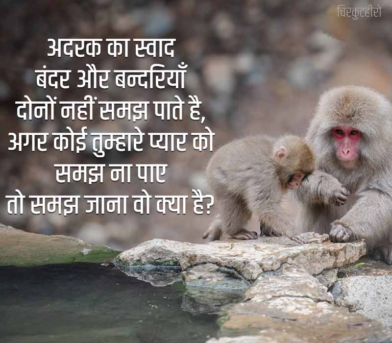 Monkey Quotes in Hindi